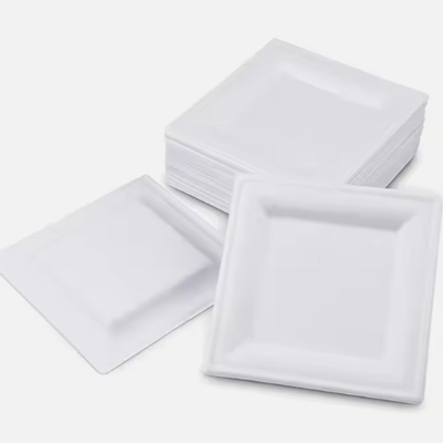 satın al Mikrodalga için uygun 10 inç kare kağıt tabaklar Tek kullanımlık bagaj tabakları kompost edilebilir online manufacture