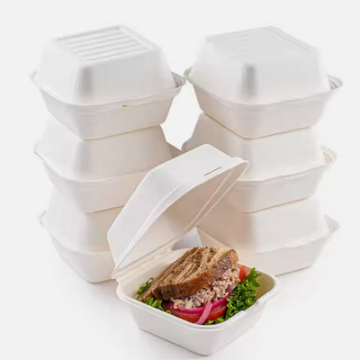 kopen Eencellige bagage lunchbox wegwerpbagage voedselcontainer 8 inch online manufacture