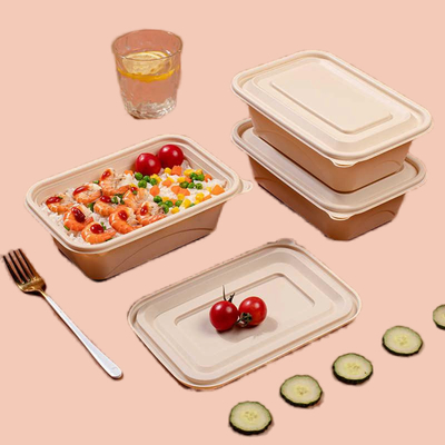 Buy Natural Color Compostable Lunch Containers Leak Proof 1000ML online manufacture