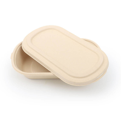 Buy Biodegradable Take Out Food Container Compost 850ml Bamboo Pulp Food Lunch Box With Lid online manufacture