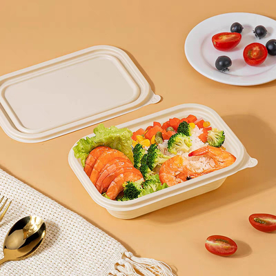 Buy GZ Bio Disposable Cornstarch Lunch Box Restaurant Takeout Plastic Food Container online manufacture