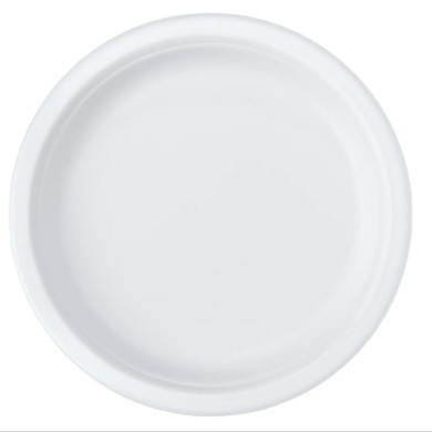 10 Zoll Pulp Teller Zuckerrohr Bagasse Tischgeschirr
