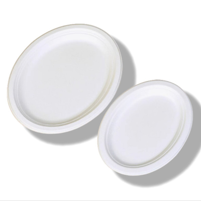 Oval geformte Zellstoffplatte Einweg-Zuckerrohr-Bagasse-Platten Gefrierschrank