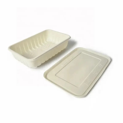 650ml 용량 환경 친화적 인 생분해 가능한 옥수수 정밀 한 번 사용 가능한 패스트 푸드 용기