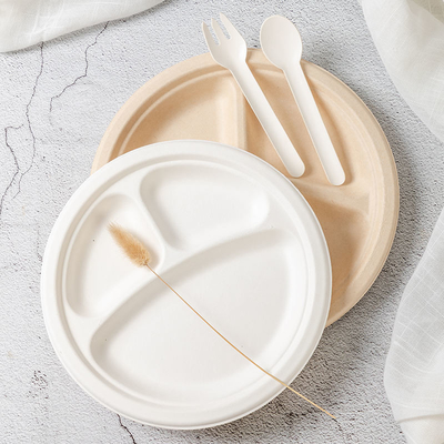 Rundes, biologisch abbaubares Bagasse-Platte 3 Gitter