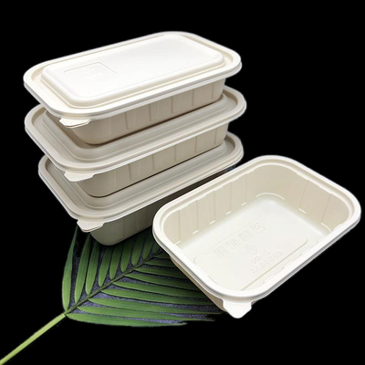 Anpassungsfähige Kompostierbare Behälter 380 ml/500 ml/650 ml/750 ml/1000 ml
