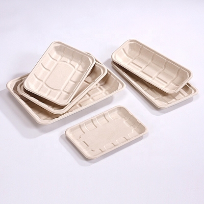 Supermarket Bagasse Food Tray Disposable Food Grade Various Sizes Available