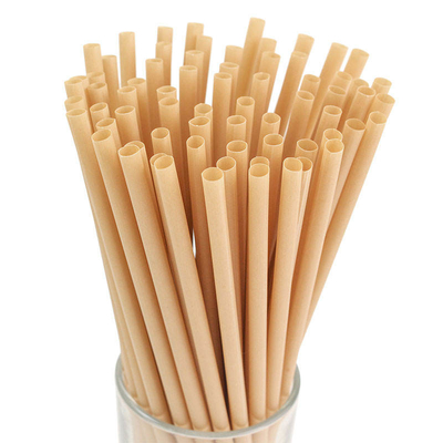 Großhandel Einweg-Biodegradables Bagasse Trinkhalme für die Party