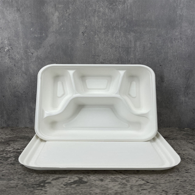 Eco Friendly Biodegradable Sugarcane Bowl Dish Paper Tableware Manufacture