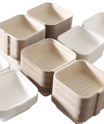 Eco-friendly Pulp Burger Box Clamshell Tableware Set Bagasse Takeaway Box Biodegradable Food Packing Container