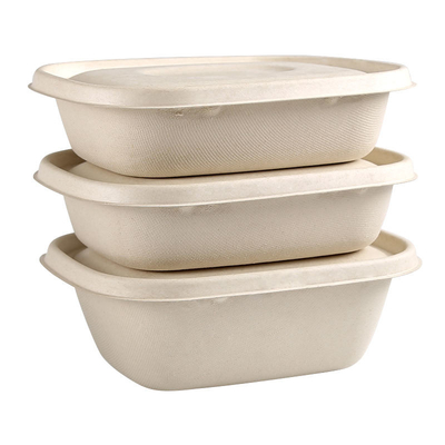 Einweggeschirr für Partys, mitnehmen Sie Salatbox 850ml 1100ml 1300ml Zuckerrohrbagasse Zellstoffbox Verpackung