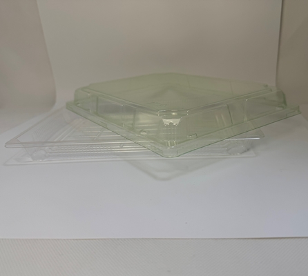 PLA biologisch abbaubare Verpackung Behälter maßgeschneiderte Größe Logo Einweg-Plastik-Servierfächer PLA-Lebensmittelfächer