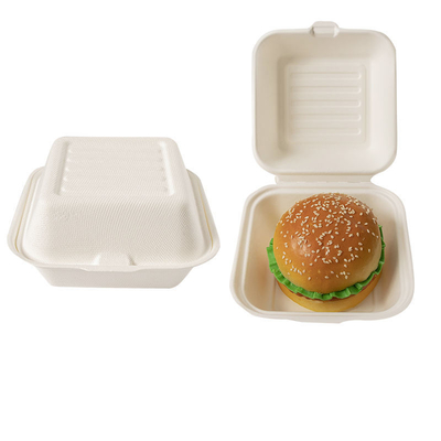 Compostable Disposable Eco-friendly 6